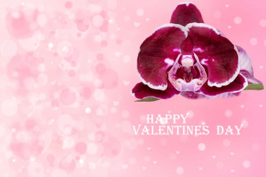 Valentines day card. Decorative greeting card with a purple orchid and with the text Happy Valentines day on an abstract delicate light pink background with hearts and bokeh circles. Space.