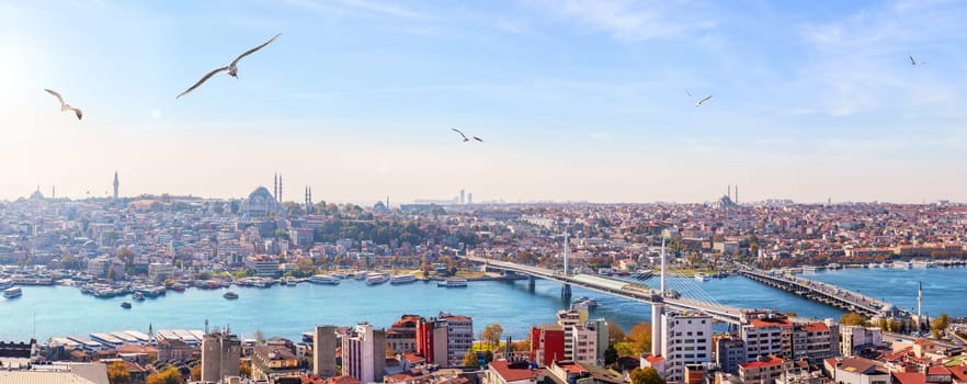 Metro bridge, the Ataturk Bridge and the skyline of Fatih district, Istanbul panorama.