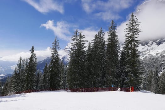 holiday at the foot of Mont Blanc in winter in the Chamonix Valley, France