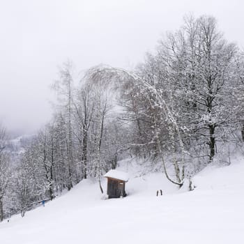 holiday at the foot of Mont Blanc in winter in the Chamonix Valley, France