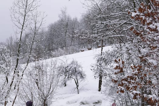 holiday at the foot of Mont Blanc in winter in the Chamonix Valley, France