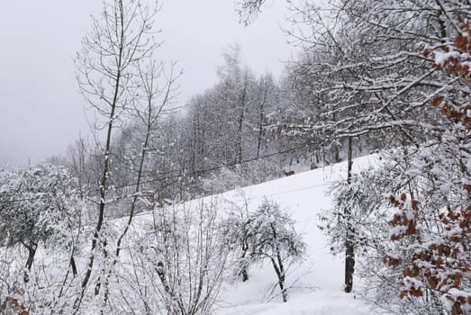 holiday at the foot of Mont Blanc in winter in the Chamonix Valley, France
