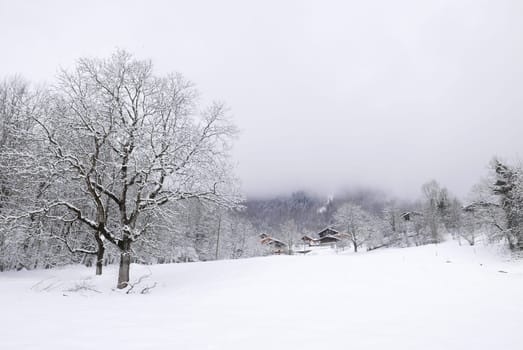 holiday at the foot of Mont Blanc in winter in the Chamonix Valley, France