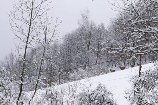 holiday at the foot of Mont Blanc in winter in the Chamonix Valley, France