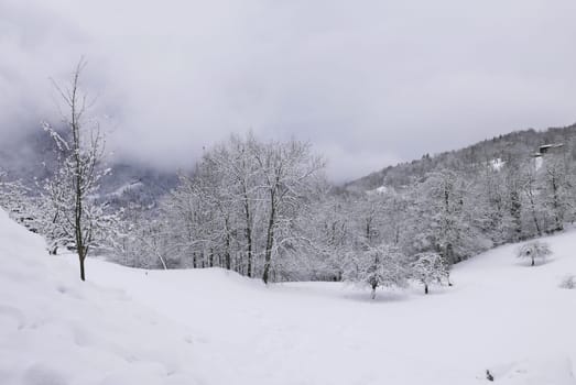 holiday at the foot of Mont Blanc in winter in the Chamonix Valley, France