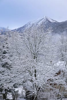 holiday at the foot of Mont Blanc in winter in the Chamonix Valley, France