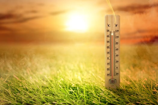Thermometer with high temperature on the meadow with glowing sun background. Heatwave concept
