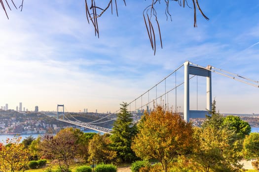 Autumn park Otagtepe and the Second Bosphorus Bridge, Istanbul.