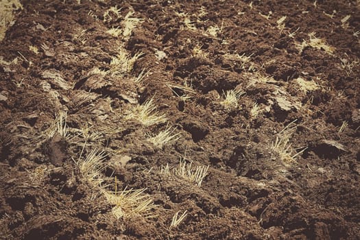 Abstract background of an arable land