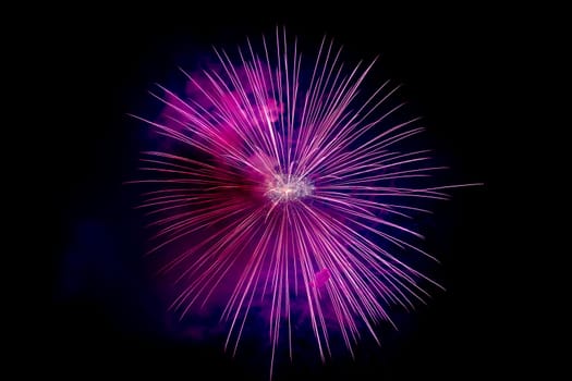 Magenta Sparkling Fireworks Background on Night Scene. Abstract color fireworks background and smoke on sky