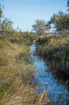 landscape of Camargues in the south of France. Ornithological nature reserve