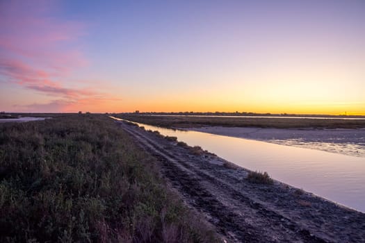 landscape of Camargues in the south of France. Ornithological nature reserve