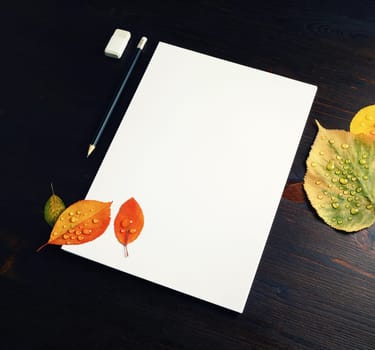 Blank letterhead, pencil, eraser and autumn leaves on wooden background. Responsive design mockup.