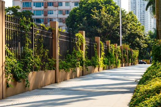 A fence of metal and concrete entwined with ivy along the street in the early morning, Shenzhen, China