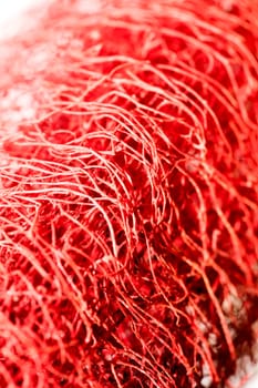 Red flower strange tropical blossom fruit macro background fifty megapixels
