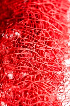 Red flower strange tropical blossom fruit macro background fifty megapixels