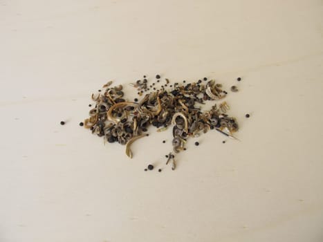 Bee friendly seed mixture with wildflowers for balcony and garden, wildflower mix for wild bees