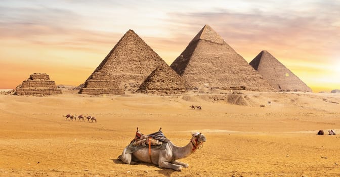 The Great Pyramids, one of the wonders of the World, and a camel near them, Giza, Egypt.