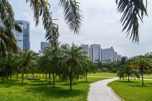 Scenic corner of the park in the center of the metropolis, with tropical vegetation, Shenzhen, China, Asia