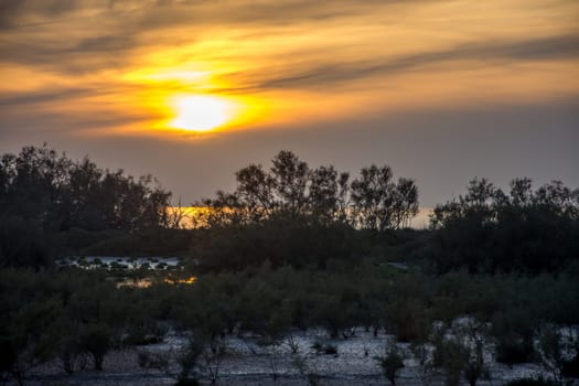 landscape of Camargues in the south of France. Ornithological nature reserve