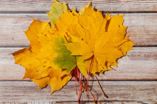 Yellow autumn leaves on a wooden background.