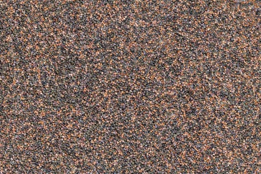 Background of evenly distributed small poppy seeds in different colors