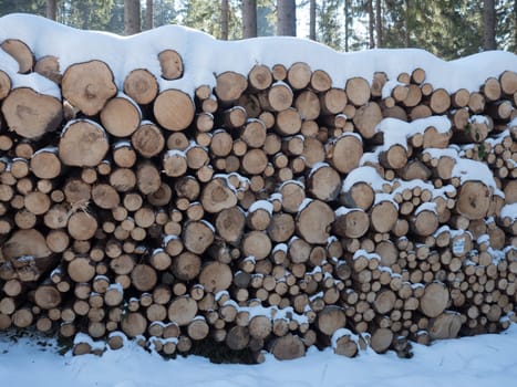 Wooden stacks in the snow