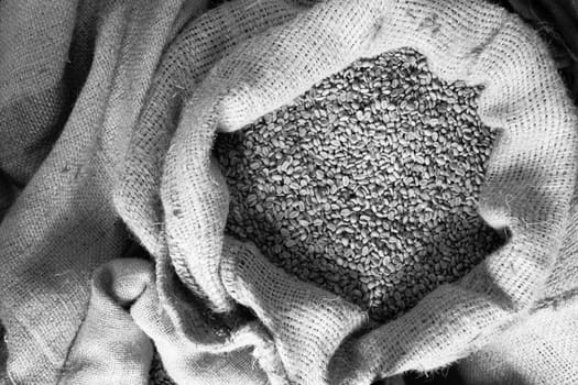 A bulk sack of coffee seeds in the roaster's warehouse.