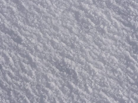 snow or (snow ski) or (snow sledge) or (snow people)