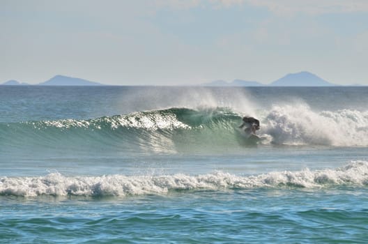 surfing in sealrocks