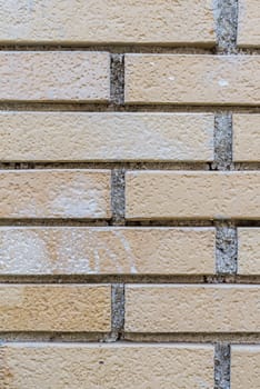 Real material texture for your background