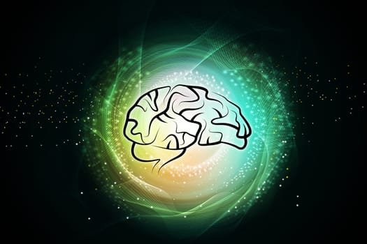 Human brain structure