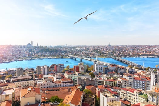 Sultan Ahmet district and the bridges over the Golden Horn, Istanbul.