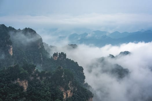 Low morning clouds engulfing stone pillars of Tianzi mountains in Zhangjiajie National park, a famous tourist attraction, Wulingyuan, Hunan Province, China