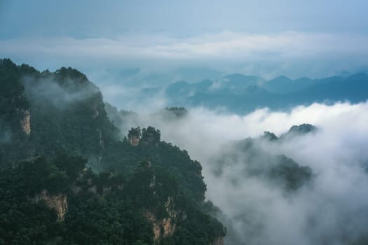 Low morning clouds engulfing stone pillars of Tianzi mountains in Zhangjiajie National park, a famous tourist attraction, Wulingyuan, Hunan Province, China