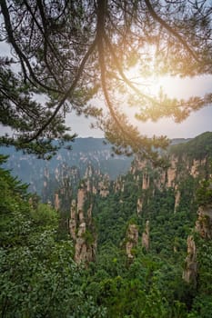 Vertical view of the stone pillars of Tianzi mountains in Zhangjiajie National park which is a famous tourist attraction, Wulingyuan, Hunan Province, China