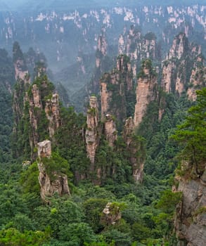 Vertical view of the stone pillars of Tianzi mountains in Zhangjiajie National park which is a famous tourist attraction, Wulingyuan, Hunan Province, China