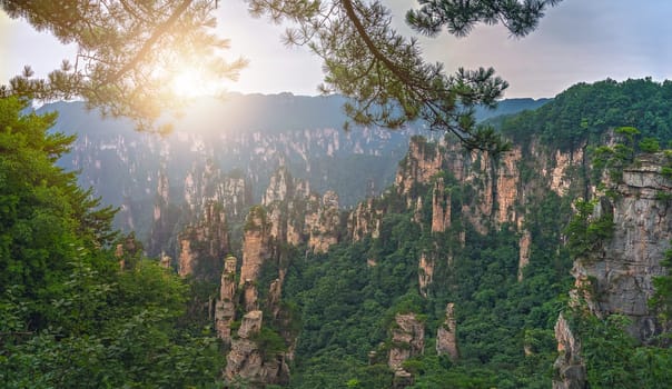 Panoramic view of the stone pillars of Tianzi mountains in Zhangjiajie National park which is a famous tourist attraction, Wulingyuan, Hunan Province, China