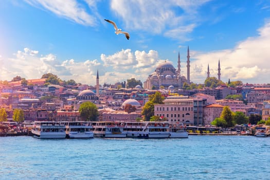 View on the Eminonu district and the Suleymaniye Mosque from the Bosphorus, Istanbul, Turkey.