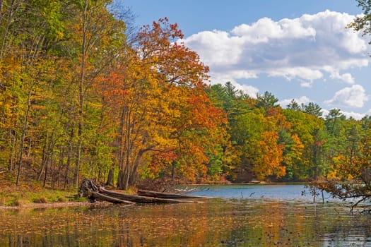 Serene Change of the Seasons on a Quiet Lake on Chenango Lake in Chenango Valley State Park in New York
