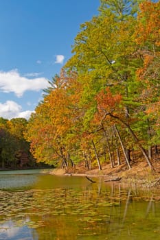 Calm Waters in the Early Fall on Chenango Lake in Chenango Valley State Park in New York