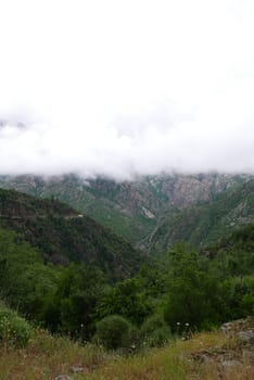 Holidays in southern Corsica..Discover the mountain landscapes of this beautiful region of France