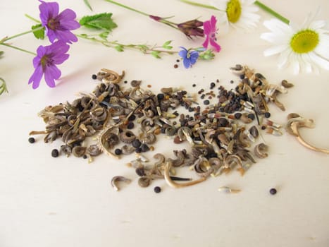 Bee friendly seed mixture and wildflowers for wild bees and other insects