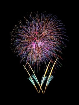 Beautiful colorful fireworks exploding in the night sky, isolated on black background. New year and anniversary concept.