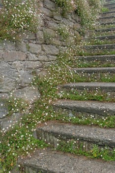 a landscape of Brittany in summer, France. sea, color of this region in summer