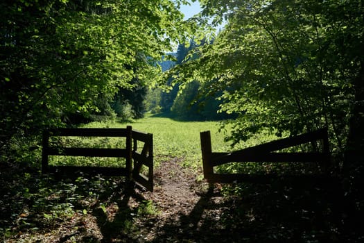 Gate at a hiking trail near Friedrichsroda in the Thuringian Forest