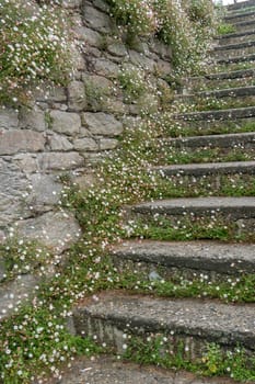 a landscape of Brittany in summer, France. sea, color of this region in summer
