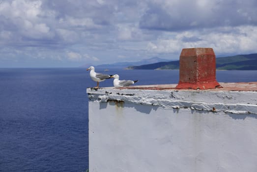 Holidays in southern Corsica..Discovery of the Sanguinaires Islands, next to the city of Ajaccio