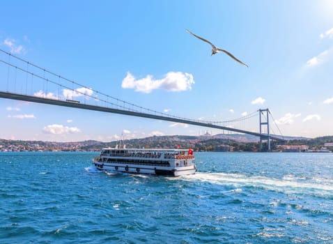 Cruise ship under the Bosphorus bridge, Istanbul, Turkey.