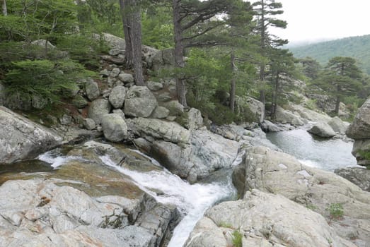 Holidays in southern Corsica..Discover the mountain landscapes of this beautiful region of France